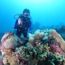 블루홀센터 이미지