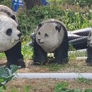 여강길(2코스 세물머리길) 이미지