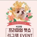 주식회사 엔씨비젼 | 2019 프리미엄 펫쇼 in 강남 (양재 AT센터) 비젼펫 부스 이벤트 당첨 :)) 강아지 간식넣는 노즈워크 장난감