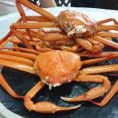 오이소 홍게 무한리필