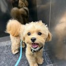 이투축산 이미지