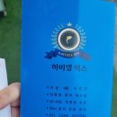 하비엘럭스 수영장 네이버블로그