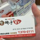 박군꽃소
