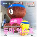 엘지25(동대문점) | [러닝] 2026 동아 서울마라톤 10k 완주 소감 &amp; 러닝 엑스포 관람 후기