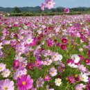 광제한의원 이미지