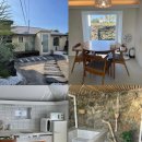 신흥늦장 이미지