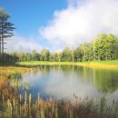 드래곤마운틴 이미지