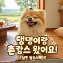 솔향기가득한펜션 | 울진 독채펜션 월송스테이 후기, 시설부터 바비큐·조식까지 정리