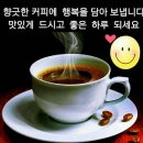 내맴 Daum카페