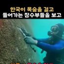 선박에 붙은 따개비 제거에 성공한 한국 - 바다 오염 없이 !!! 이미지