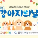 주식회사 와우코리아 이미지