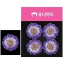 보라유치원 이미지