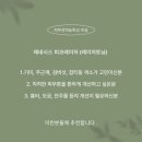 미송피부관리엔왁싱