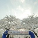 동구 자전거쉼터 이미지
