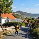 보람찬 광부의 하루 | 남해 독일마을 솔직 후기 맥주 대신 찾은 미조항 애견 동반 힐링 코스