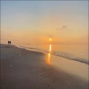 그해 바다 이미지