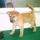 스마일하우스 이미지