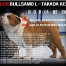 챔피언 애견농장 이미지