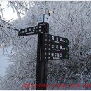 환상의 추억 이미지