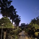 중문그린힐통나무펜션 | 서귀포독채펜션 서귀포펜션 웨스티하우스 제주 감성 가득한 통나무집에서 힐링한 경험담