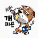 구조라방파제 이미지