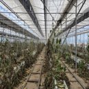 병건농장 이미지