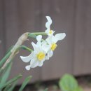 들꽃펜션 이미지