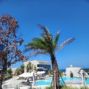 이호웨이브 이미지