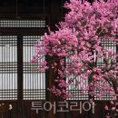 임진고택 이미지