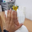 3D몬도
