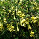 대구세차장 이미지