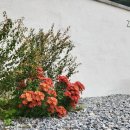 제로나인스테이 이미지