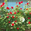 안양6동-1 이미지