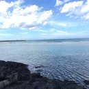 성정활림목련아파트(2차) 이미지