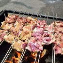 작은영토 이미지