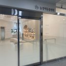 내곁에동물병원 | 아산 늘곁에동물병원 츄츄 호흡기 질환 네뷸라이저 용액 감기약 처방