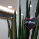 우리메디컬의원 이미지