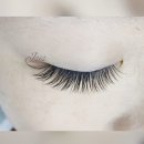 엠시스(MSIS) 네일 이미지