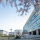 숙명여자대학교 이미지