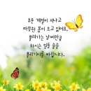 꽃길만 걸어요 이미지