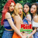 지피카 이미지