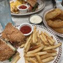 키워주시개 | 끼둥이