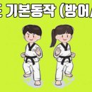 쌍용태권도 이미지