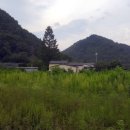 진부리유원지 이미지