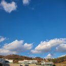 케이티엔114 - 보령시 신설1길 11 | 케이티엔114