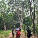 한남금북 11구간(종산) 음성 마이산~칠장산구간 이미지