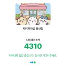 털빨샵 | 용산 치이카와샵 토벌 후기 | 한복 마코 품절 | 18만 원 쓰고 옴