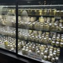 푸드포유 | 제주도 유아식 고민 해결! 마미포유 방문 후기 (13개월 아기와 함께)