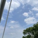 6.15 농장 | 서울근교 드라이브코스 남양주 가볼만한곳 물의정원 양귀비 실시간 개화상황 주차장 나무포토존 위치...