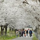 서운근린공원 이미지